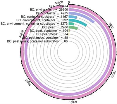 Alleviate environmental concerns with biochar as a container substrate: a review